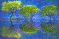 45 - Trees reflections - BACLE JEAN CLAUDE - france